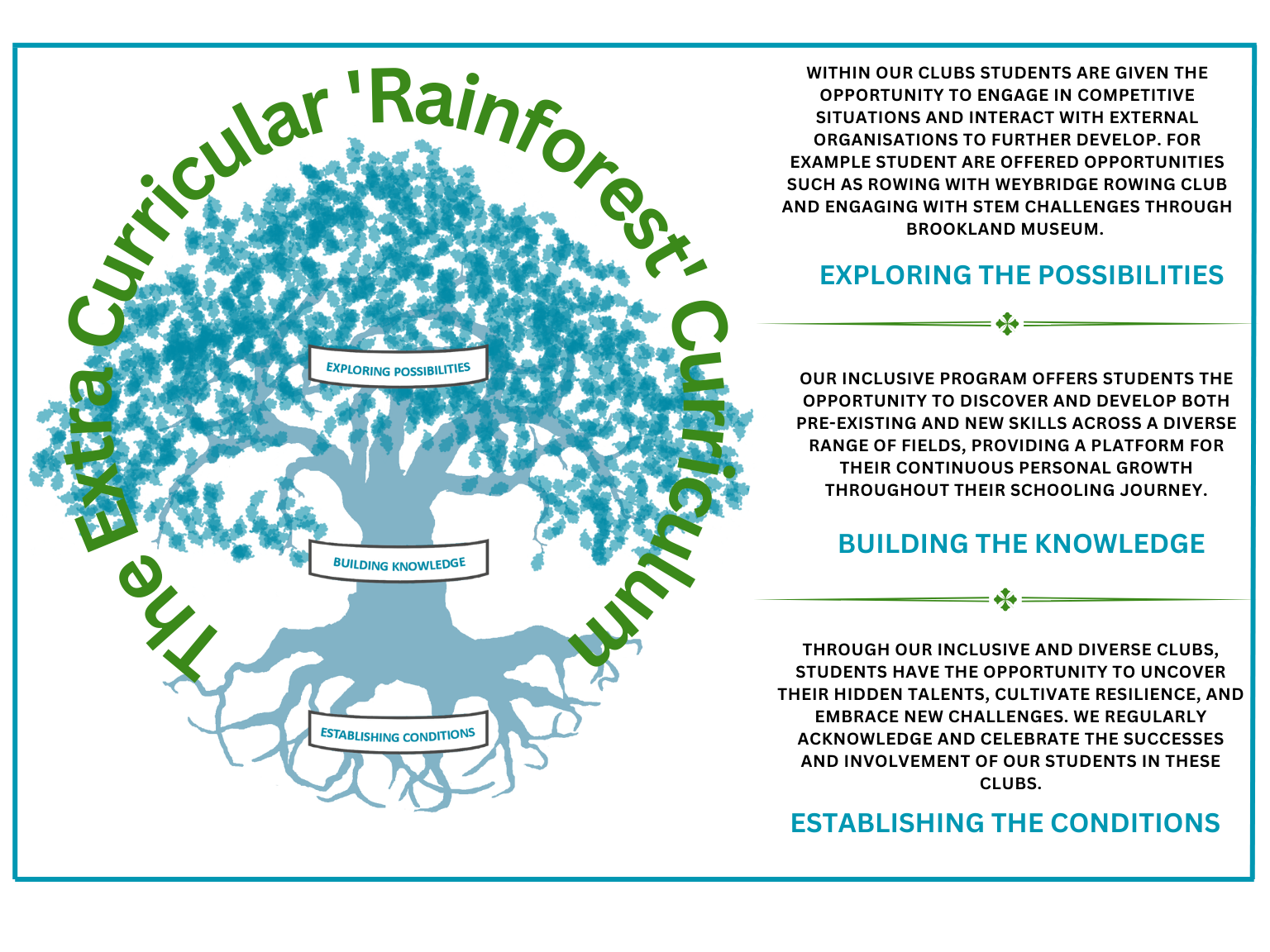 Extra curricular Rainforest